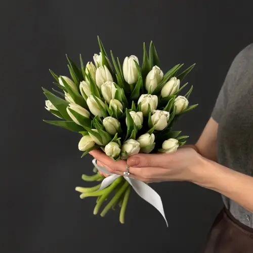 Букет из 25 белых тюльпанов